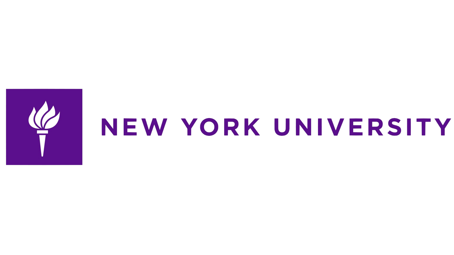 New York University